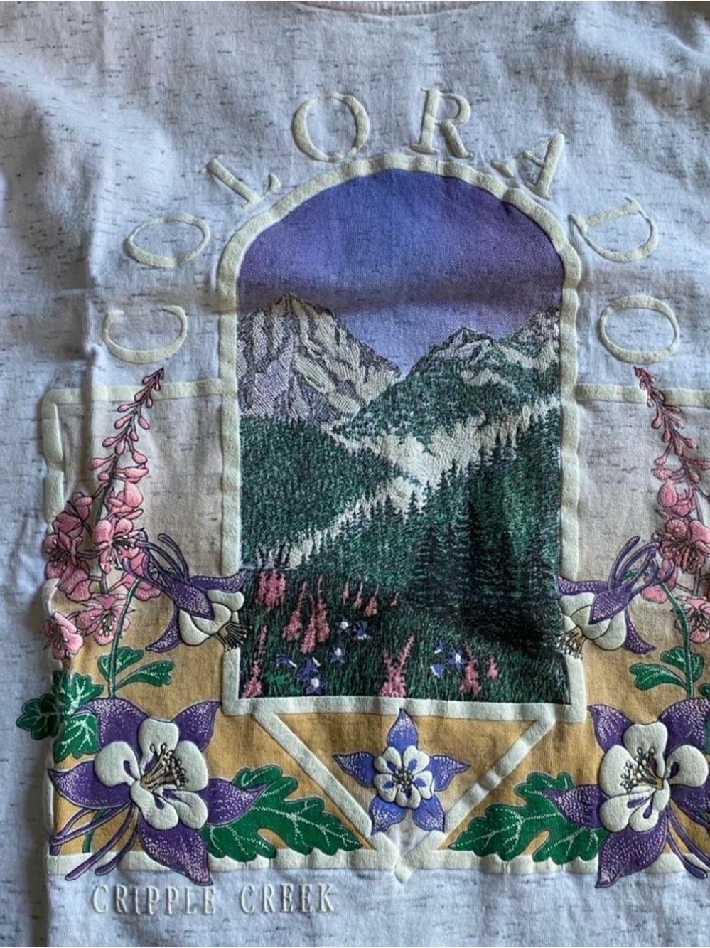 We The Free White Heather Tee with Pink Trim and Multicolor Mountain Graphic - Picture 2 of 5
